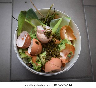 Compost made from green waste of the kitchen at home. Recycling kitchen waste for gardening. White compost bucket with tea leaves, egg shells, green vegetable waste, ... 