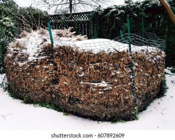 Compost Pile With Leaves And Snow