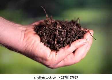 Compost Pile, Organic Thermophilic Compost Turning In Tasmania Australia 