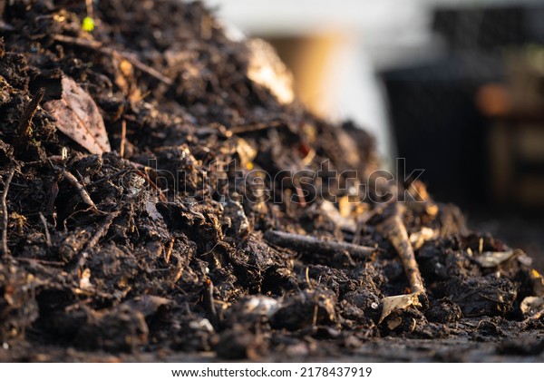 Compost pile, organic thermophilic compost turning in\
Tasmania Australia 