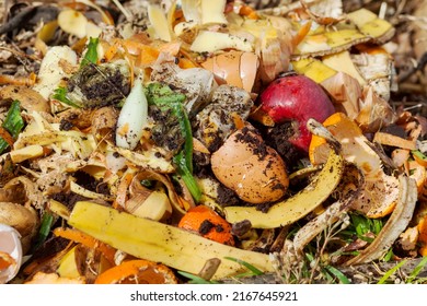 Compost Pile Organic Waste Recycling Waste Stock Photo 2167645921 ...