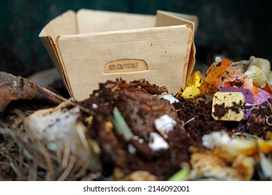 compostable and biodegradable Paper packaging