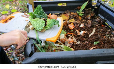 composter with organic waste on the garden - Shutterstock ID 1914371053