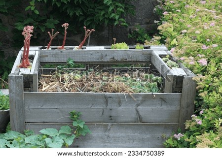 Composter from pallets with organic waste and flowering houseleeks. Frame decorated with Sempervivum tectorum, also called common cobweb, houseleek or hens and chicks. Reusable concept.