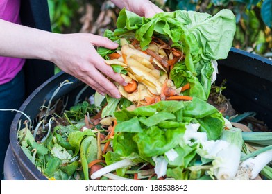 Composting the Kitchen Waste - Powered by Shutterstock