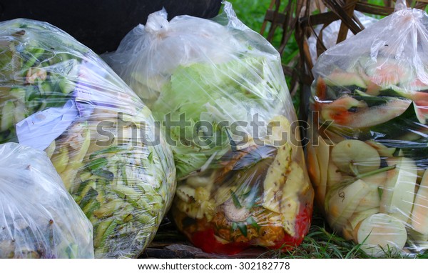 Composting Kitchen Waste Stock Photo Edit Now 302182778