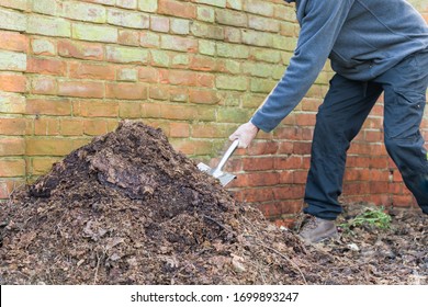 Composting, man turning a compost heap in a garden, UK