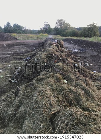 Composting pile on windrow system