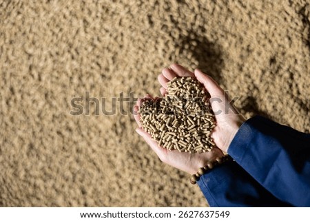 Compressed fodder, calf feed, in hands of unrecognizable farmer. Abundance of animale food.