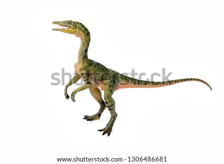 Compsognathus or Compy is dinosaur theropod carnivorous in genus of smallest in the world. isolated on white background.