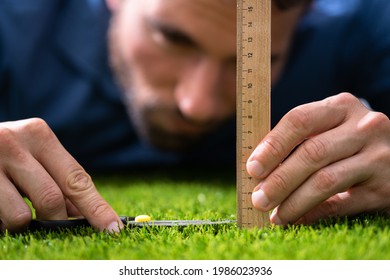 Compulsive Obsessive Disorder. Perfectionist Measuring Garden Grass