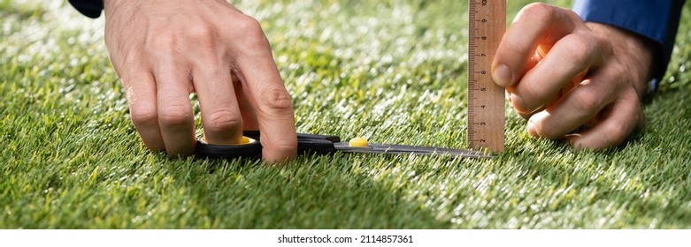 Compulsive Obsessive Disorder. Perfectionist Measuring Garden Grass