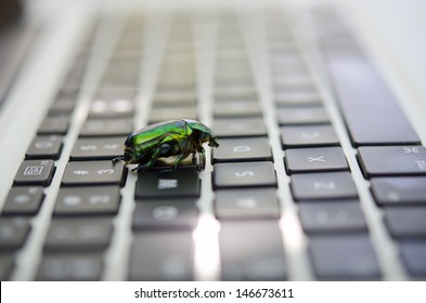 Computer Bug