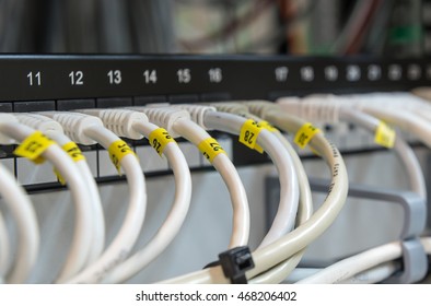 Computer Ethernet data Cables connected in a row on a data patch panel port to provide connectivity to a Network.