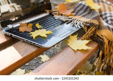 computer with fallen leaves and a blanket