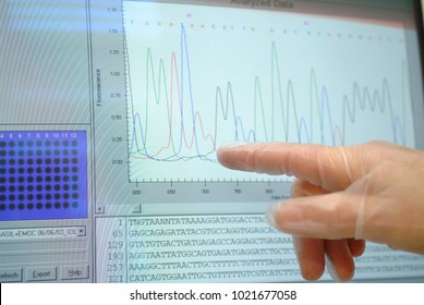 Computer Monitor Shows DNA Sequencing