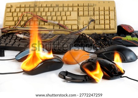 The computer mouse caught fire and was damaged