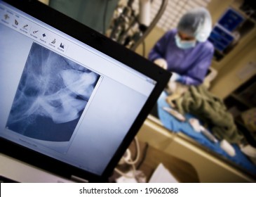 Computer Screen And Veterinary Surgery At An Animal Clinic