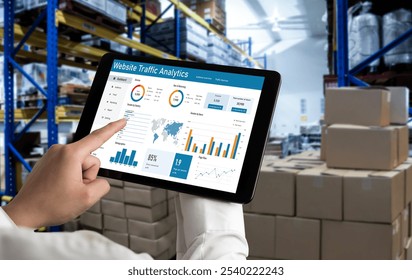 Computer software for website traffic analytics data on computer screen. Concept of SEO search engine optimization and customer targeting for online business snugly