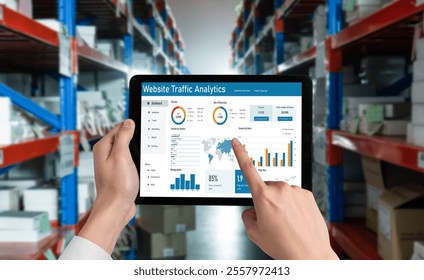 Computer software for website traffic analytics data on computer screen. Concept of SEO search engine optimization and customer targeting for online business snugly