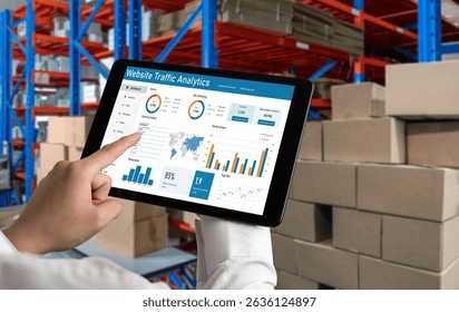 Computer software for website traffic analytics data on computer screen. Concept of SEO search engine optimization and customer targeting for online business snugly