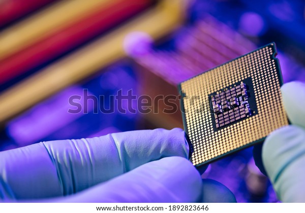Computer support engineer\
installing processor. Microprocessor with clearly visible silicon\
core and cache chip. Installation of computer processor in the\
socket.