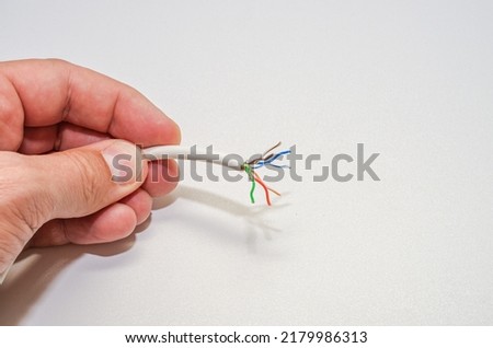 A computer wizard strips the wires of an Internet cable for connecting a twisted pair cable to a jack RJ-45