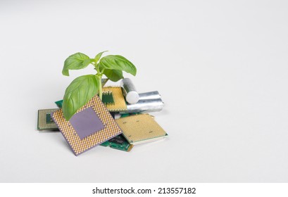 Computer/electronic Recycling Concept Detailed Shot With Focus On Plant 