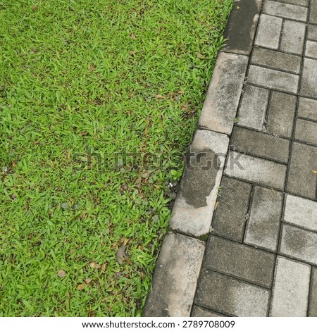 a conblock pathway with grass as borderline