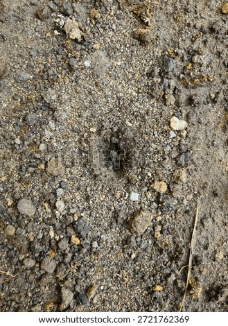 concave soil surface texture due to raindrops