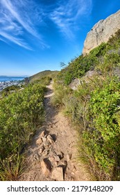 Concealed Mountain Pathway Surrounded By Fynbos. Beautiful View Of The Sky And City From The Top Of The Hills. A Hiking Trail On Lions Head During A Clear Day With A Cloudscape.