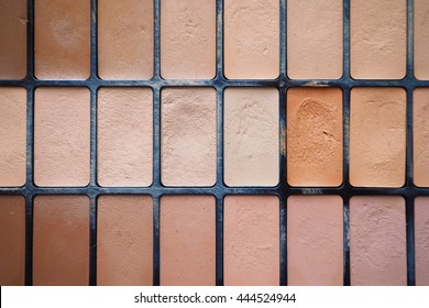 Concealer Palate  - Shutterstock ID 444524944