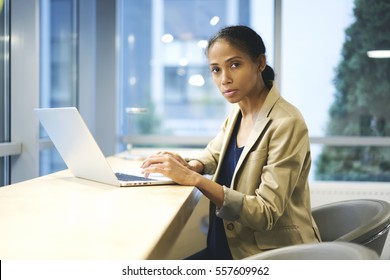 Concentrate Afro American Female Skilled Journalist Making Remote Job Writing Press Release For Online Issue Using Laptop And Wifi Connection In Coworking Office, Woman Executive Working On Net-book