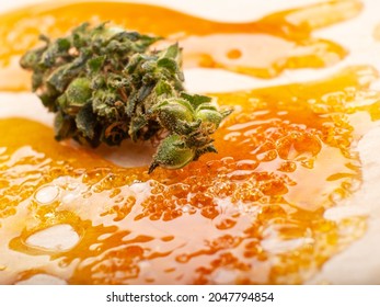 concentrate golden resin wax and dry green cannabis bud with high thc close up.