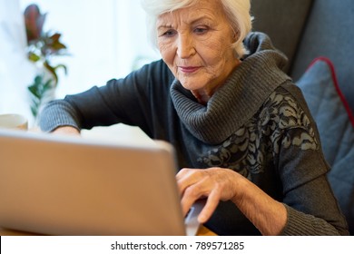 Concentrated aged entrepreneur wearing gray sweater wrapped up in work while sitting at cozy small coffeehouse, portrait shot