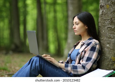 Concentrated Asian Student E-learning With Laptop In A Forest