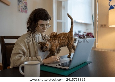 Concentrated busy teen girl sitting at table, working on laptop as freelancer, studying online at home. Domestic cat diverts girl attention from work, waiting for stroking, caressing, amusement