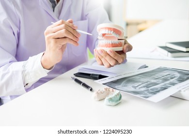 Concentrated Dentist Sitting At Table With Jaw Samples Tooth Model In Dental Office Professional Dental Clinic.