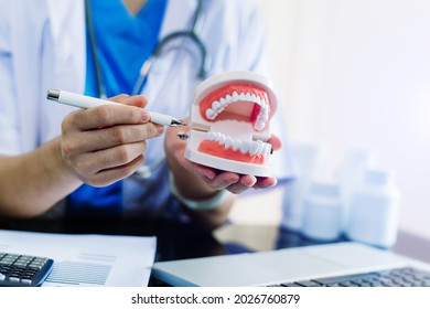 Concentrated dentist sitting at table with jaw samples tooth model and working with tablet and laptop in dental office professional dental clinic.
