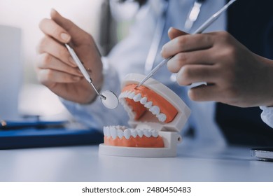 Concentrated dentist sitting at table with jaw samples tooth model and working with tablet and laptop in dental office professional dental clinic. medical doctor working