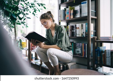 Concentrated and intelligent woman with hair bun sitting in front of bookshelf and holding open book while attentively reading story
