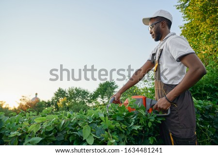 Similar – Image, Stock Photo Hedge pruned Worker air