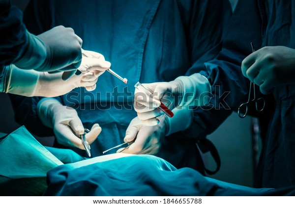concentrated\
professional surgical doctor team operating surgery a patient in\
the operating room at hospital. tumor cancer. surgical biopsy\
specimens. healthcare and medical\
concept.\

