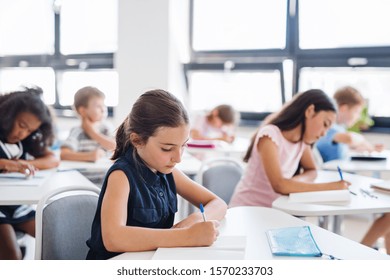 Concentrated small school children sitting at the desk in classroom, writing.