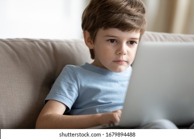 Concentrated smart little preschooler boy sit on sofa at home browsing wireless Internet on laptop, small serious child watch video use modern computer gadget, kids and technology, education concept