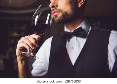 Concentrated Sommelier Inhaling Race Of Wine