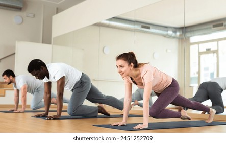 Concentrated sporty young woman doing intense bodyweight workout in fitness studio, performing mountain climber exercise in plank pose.. - Powered by Shutterstock