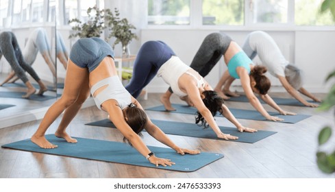 Concentrated sporty young woman doing downward facing dog pose to stretch and strengthen muscles during group training in cozy light-filled yoga studio - Powered by Shutterstock