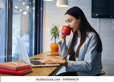 Concentrated student browsing internet websites in searching information for coursework on modern laptop computer while drinking tasty tea in stylish coffee shop interior during leisure time