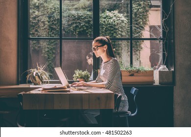 Concentrated at work. Confident young woman in smart casual wear working on laptop while sitting near window in creative office or cafe - Shutterstock ID 481502263